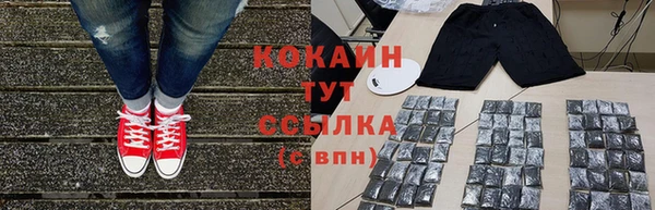 мдпв Надым